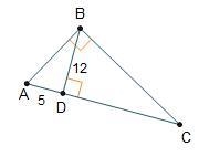 ANSWER ASAP What is the length of Line segment B C, rounded to the nearest tenth? 13.0 units-example-1