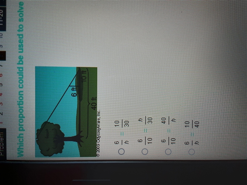 Which proportioncould be used to solve for the height of the tree?-example-1