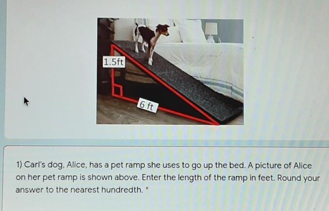 Carl's dog, alice, has a pet ramp she uses to go up to bed. A picture of alice on-example-1