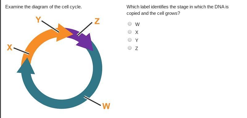 Helppppp due in 5 minutes pls help this is a test witch is worth half of my grade-example-1