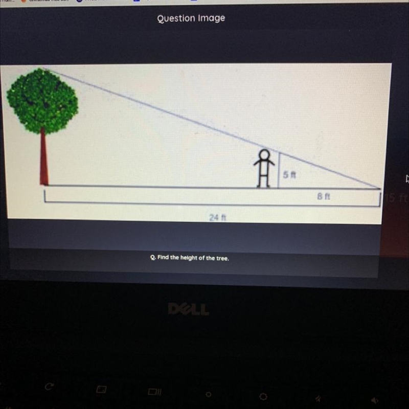 Find the height of the tree-example-1