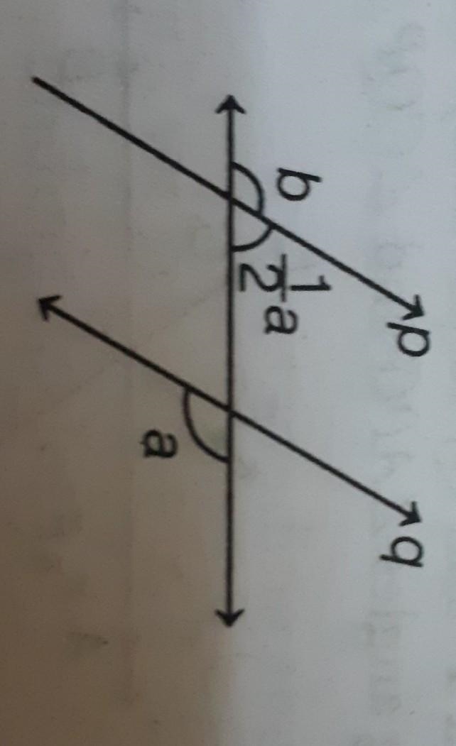 In the given figure if p||q what is the value of b?​-example-1