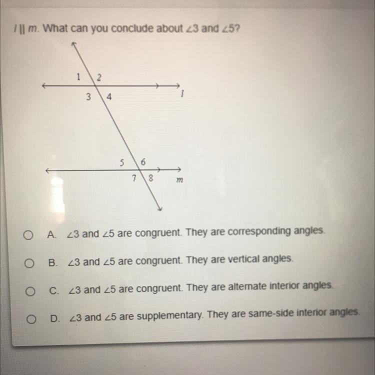 PLEASE HELP!! What can you conclude about 23 and 25? A. 23 and 25 are congruent. They-example-1