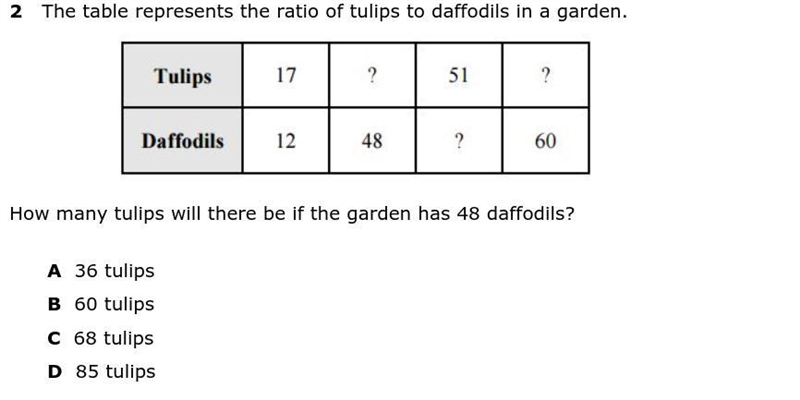 How many tulips will there be if the garden has 48 daffodils?-example-1