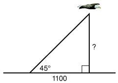 Which equation would you use to find how high the bird is flying? tan45° = 1100 over-example-1