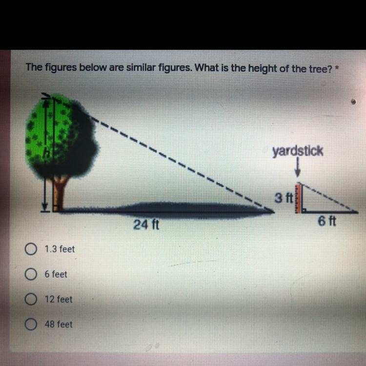 What is the height of the tree?-example-1