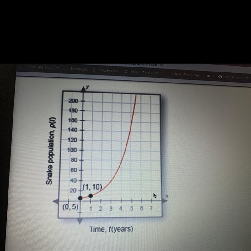 What is the y intercept what does this mean in terms of the snake population-example-1