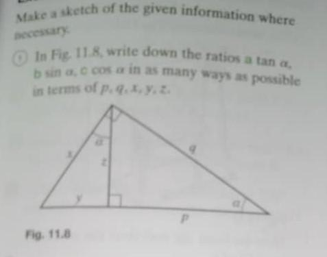 Please help me out with these questions. It's trigonometry-example-1