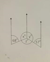 Please anyone help!!! Solve for x°,y°,z° Any experts??-example-1