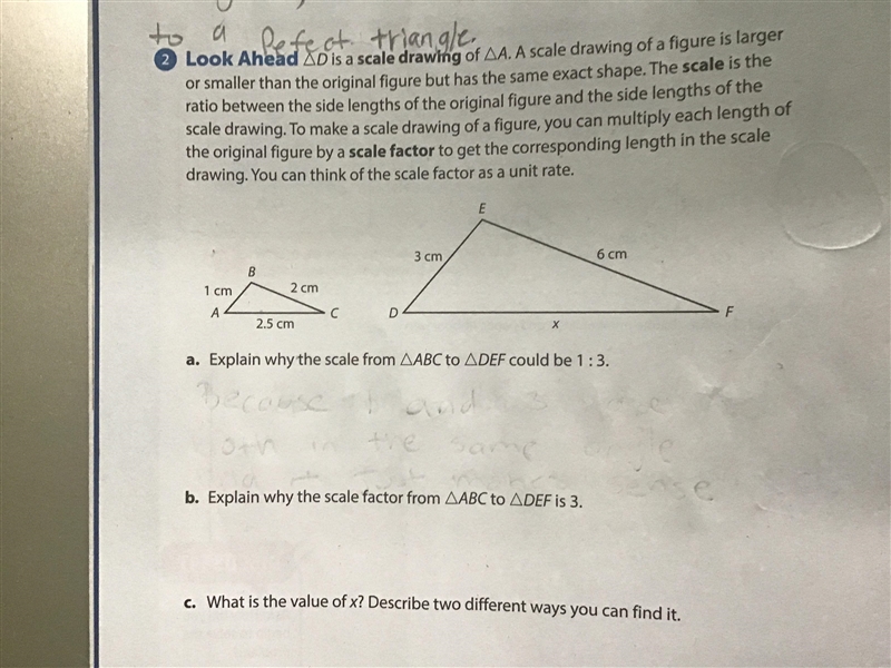 Can someone pls answer these questions for me I’m stuck-example-1