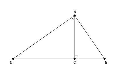 In △ABD, altitude AC¯¯¯¯¯ intersects the right angle of triangle ABD ​ at vertex A-example-1