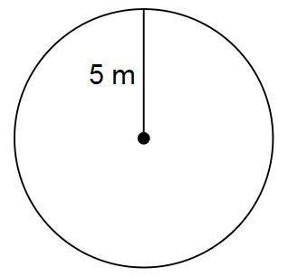 Find the circumference of the circle. Use 3.14 for pi.-example-1