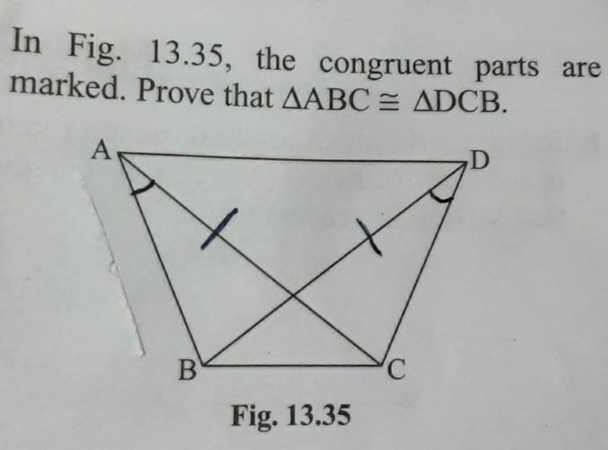 How to solve this pls I need answer fast​-example-1