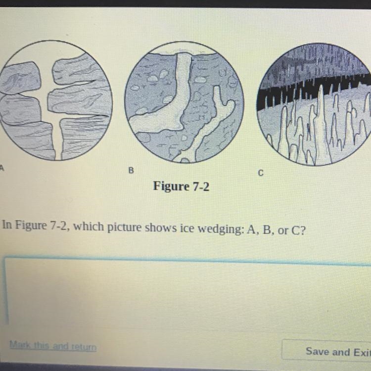 Please help me with this question!! thank you if you do:))-example-1