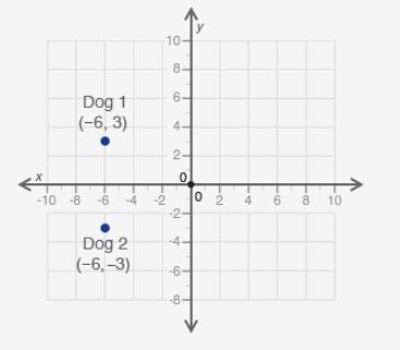 Points (−6, 3) and (−6, −3) on the coordinate grid below show the positions of two-example-1