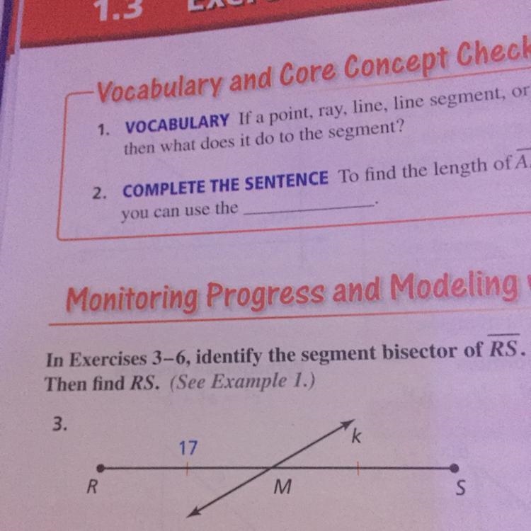 Indentify the segment bisector of RS-example-1