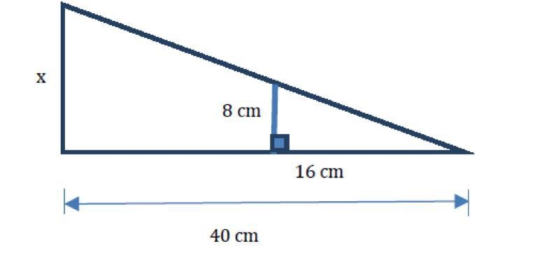 PLS HELP!! Find the value of x. Show any calculations used to find your answer.-example-1