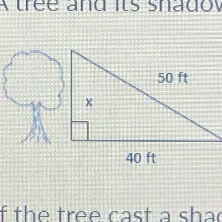 If the tree cast a shadow of 40 feet, how tall is the tree? A. 30 feet. B.35 ft. C-example-1