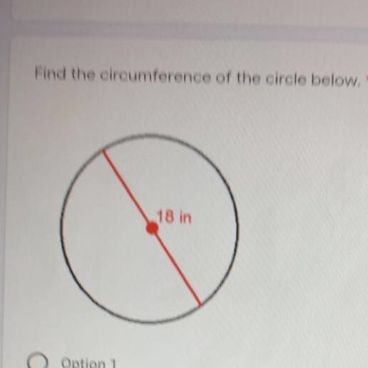 Find the circumference of the circle below-example-1