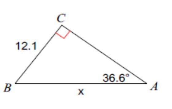 Neeed help pls. Find the measure of each side indicated. Round to nearest tenth. Pls-example-1