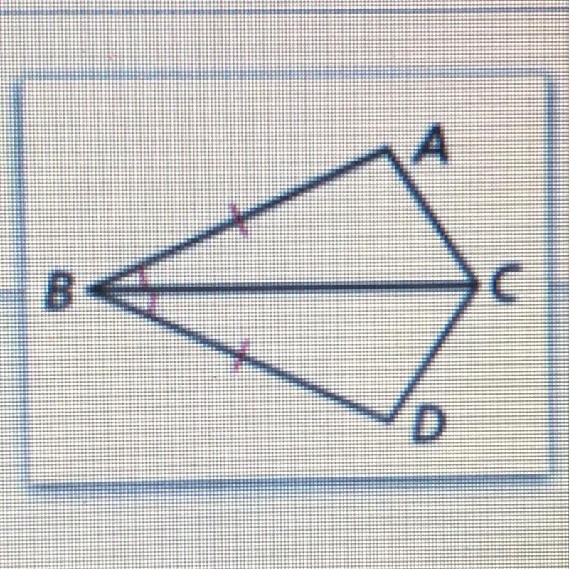 Why are these triangles congruent?-example-1