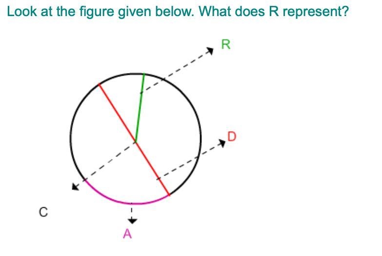 Look at the photo answers are radius diameter center circumference-example-1