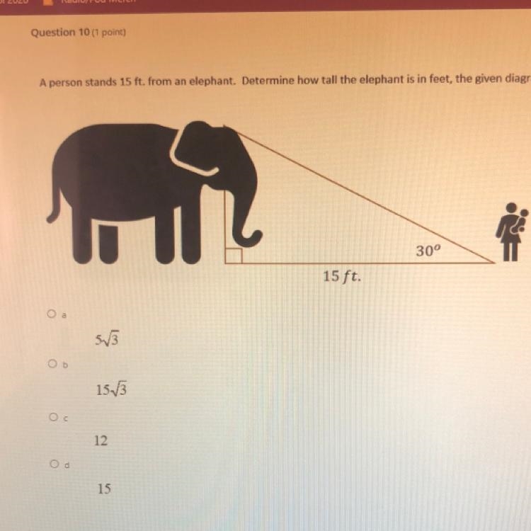 a person stands 15 ft from an elephant. determine how tall the elephant is in feet-example-1