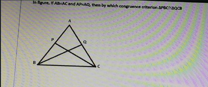 ANSWER THE QUESTION WITH EXPLAINATION-example-1