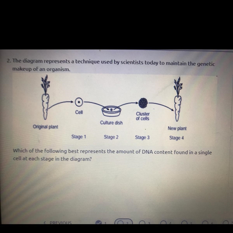 . The diagram represents a technique used by scientists today to maintain the genetic-example-1