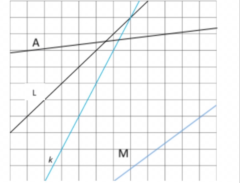 Which line has a slope of 1? A. line L B. line K C. line M D. line A-example-1