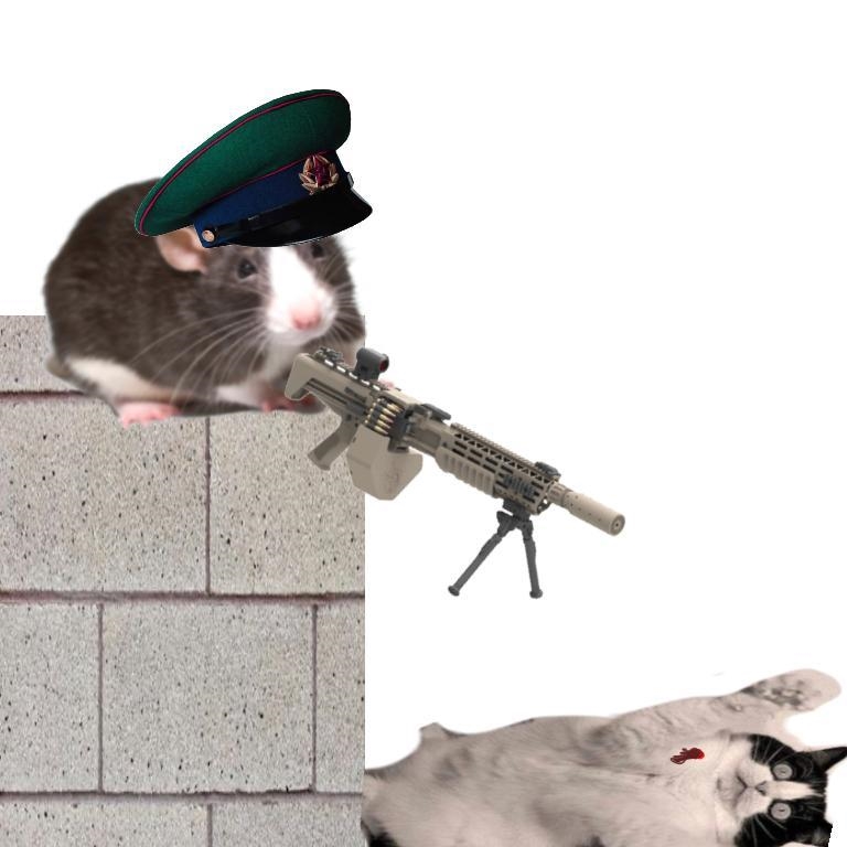 Got them.... I think the war is finally over.. Rat soldier: copy that Rat Soldier-example-1