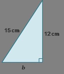 Consider this right triangle with given measures what is the unknown length-example-1