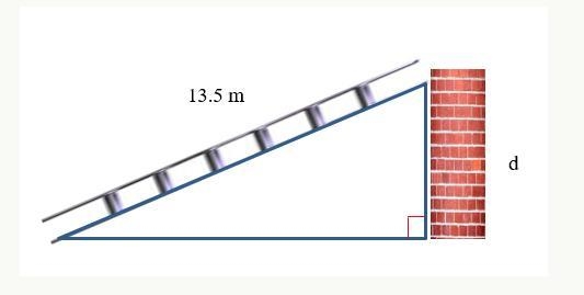 A 13.5-meter ladder leans against a brick wall and the ladder makes a 75∘ with the-example-1