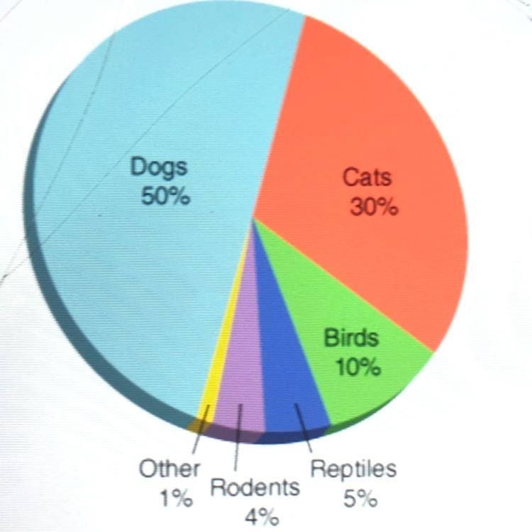 Percentage of the different pet people own: If the total of homes with a pet is 400, the-example-1