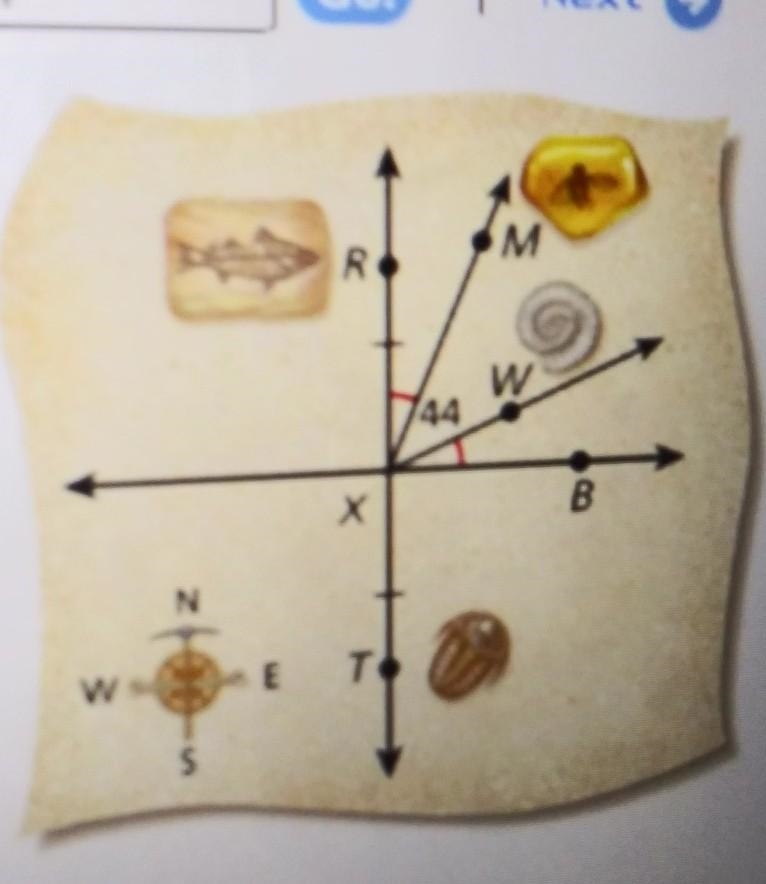 Are the locations of the campsite at X and the fossils at Rand T collinear or noncollinear-example-1