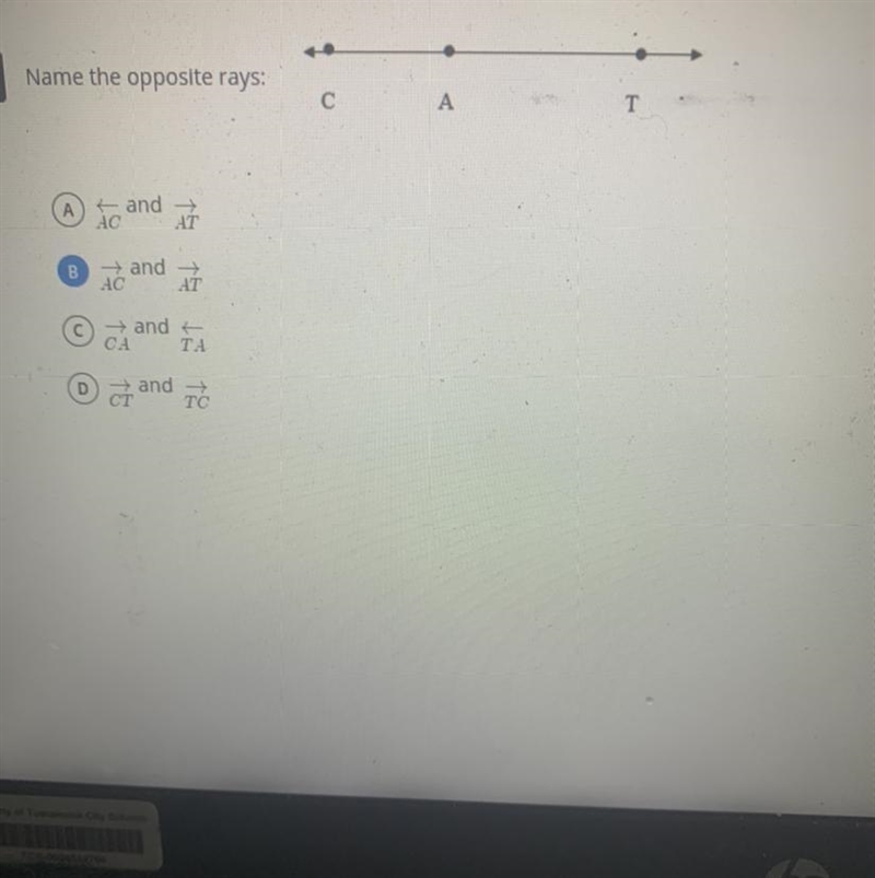 Name the opposite rays: C A T-example-1