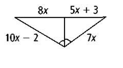 Solve for x. Please help-example-1