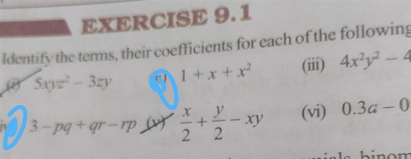 ( Identify the terms, their coefficients for each of the following expressions)​-example-1