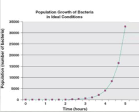 if the bacteria population is doubling every hour, can you estimate the bacteria population-example-1