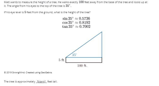 The tree is approximate _[blank]_ feet tall.-example-1