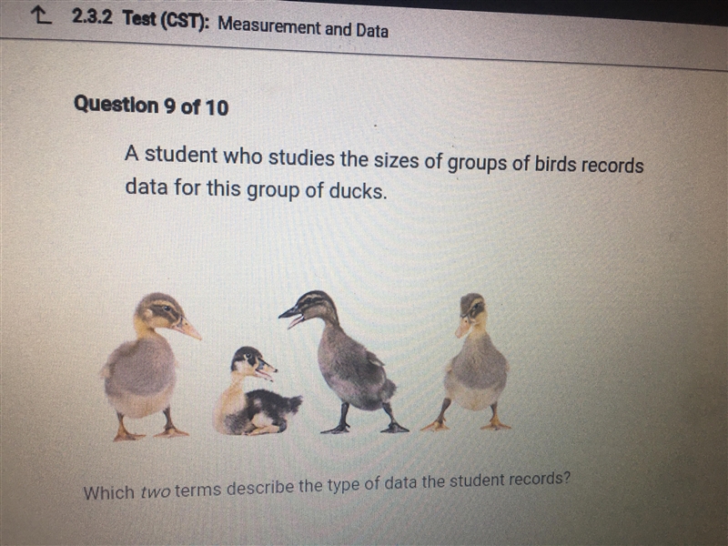 A student who studies the sizes of groups of birds records data for this group of-example-1