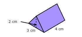 What is the volume of the triangular prism? A) 12 cm3 B) 18 cm3 C) 24 cm3 D) 48 cm-example-1