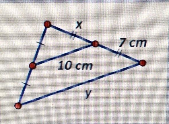 Solve for y a. 7 cm b. 20 cm c. 14 cm d. 10 cm​-example-1