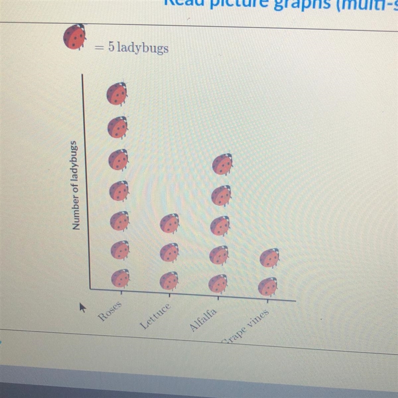 Olivia counted the number of ladybugs on each plant in her garden, then made the graph-example-1