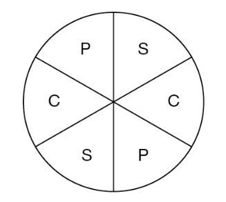 A pie company arranges its three-flavor cheesecake sampler into equal-sized slices-example-1