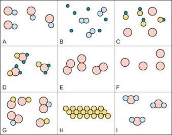 Which of the following diagram(s) show a pure substance? A. not listed here b. A, D-example-1