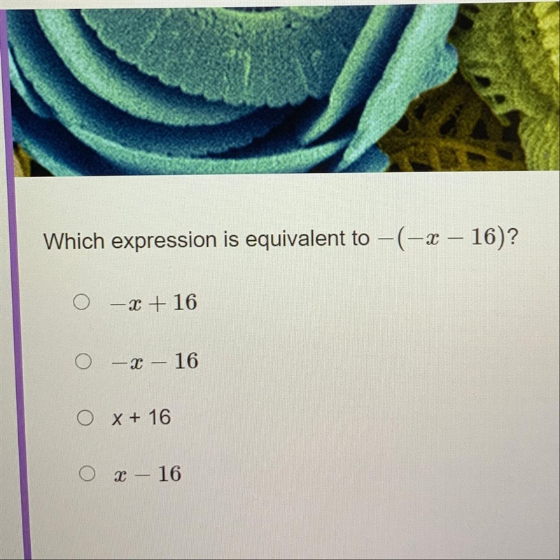 Question in above picture explanation please not jusr answer-example-1