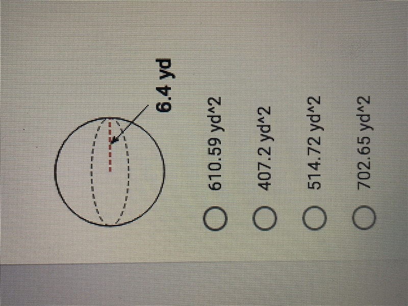 Please Find the surface area of the sphere. Round your answer to the nearest hundredth-example-1