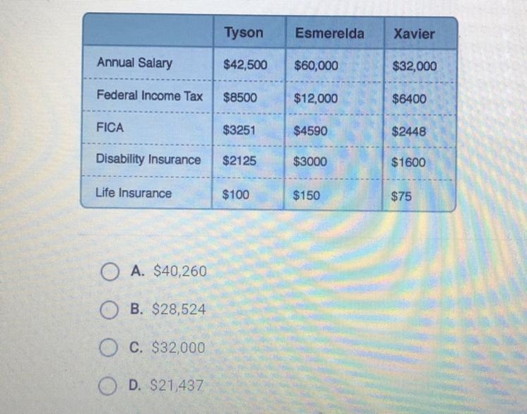 Using the table below, what is Esmeralda's take-home pay?-example-1