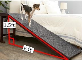 Carl’s dog, Alice, has a pet ramp she uses to go up the bed. A picture of Alice on-example-1